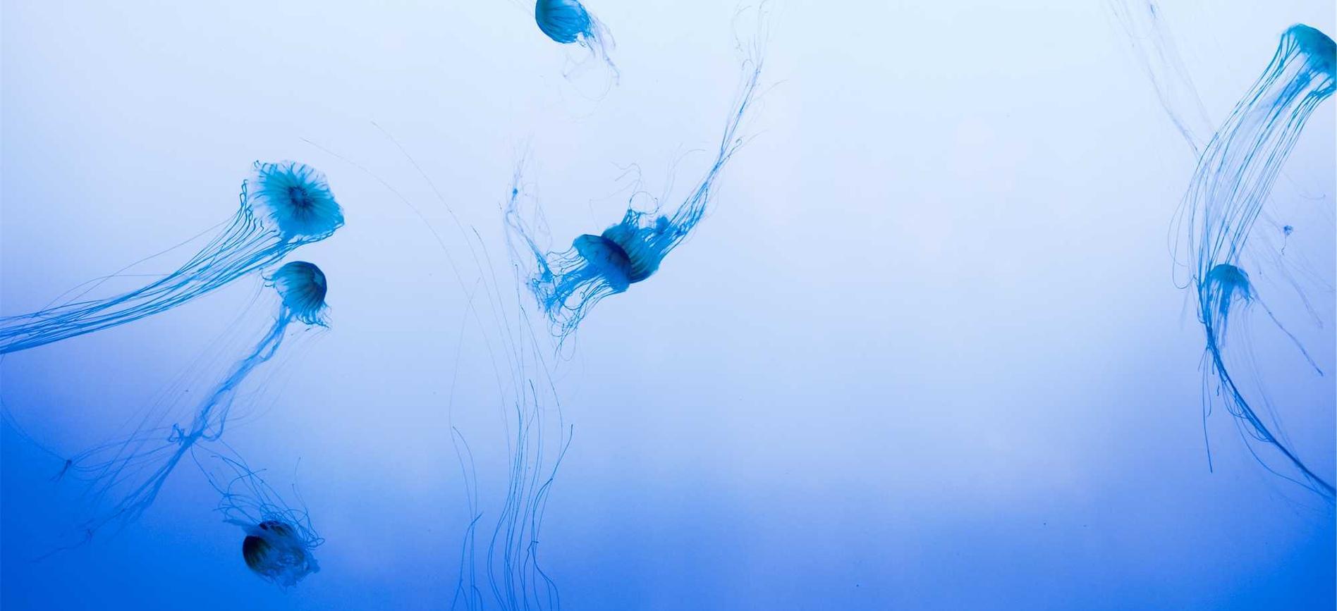 郑州讯捷实名账号：临汾市代理注册