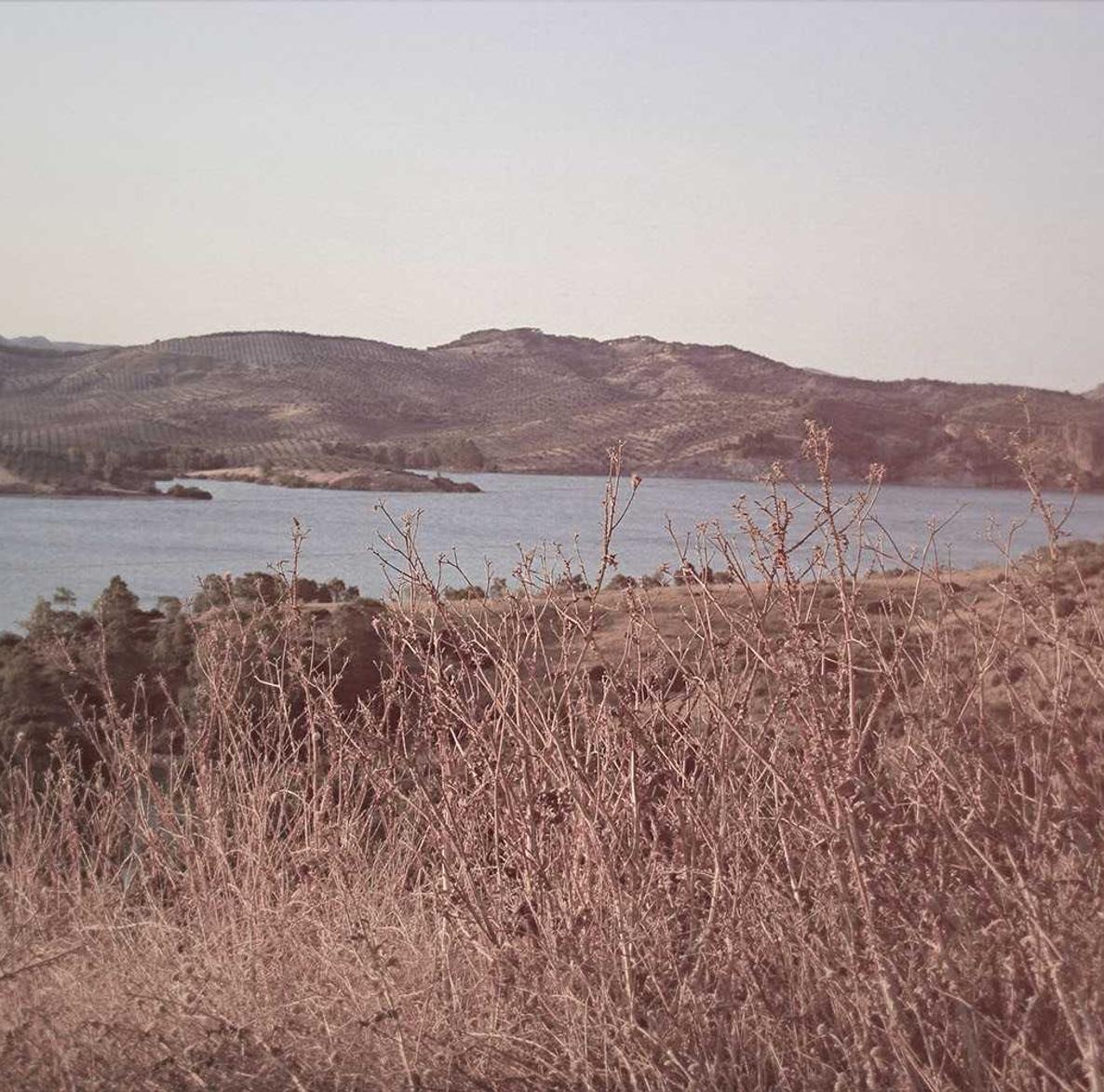 九州ip实名账号：美国煤炉买家账号注册