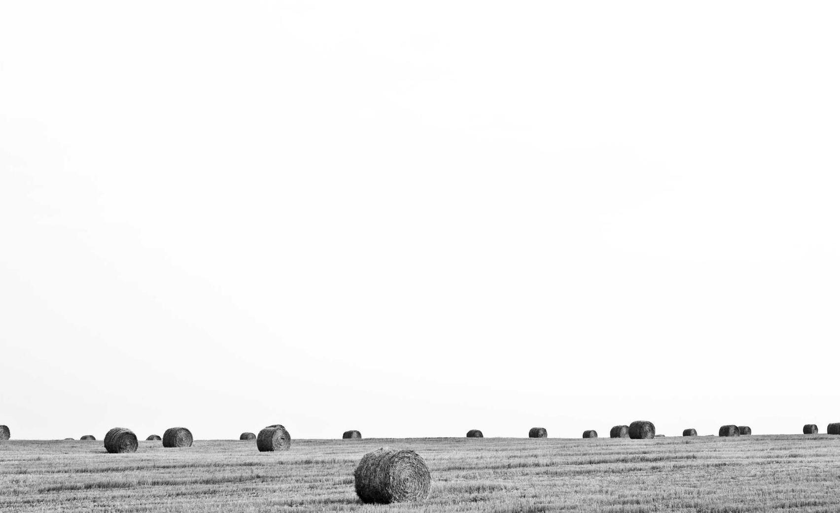 如何编写吸引人的标题标签