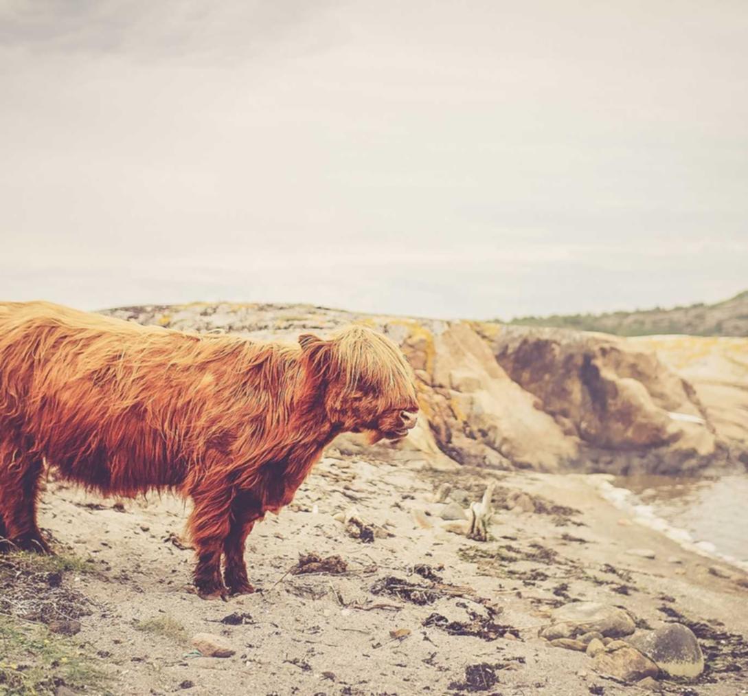 和天下如何进行基于数据的营销测试？