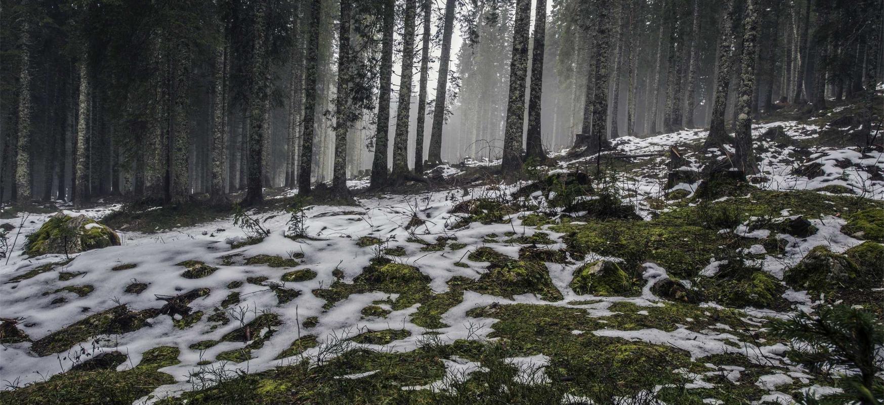 百达如何选择平台代理