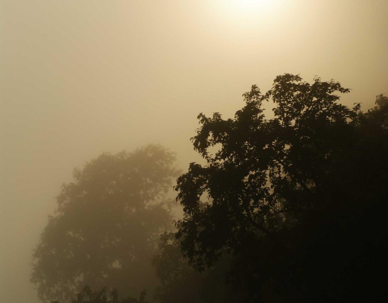 正规的物联卡：不同平台购买汉服