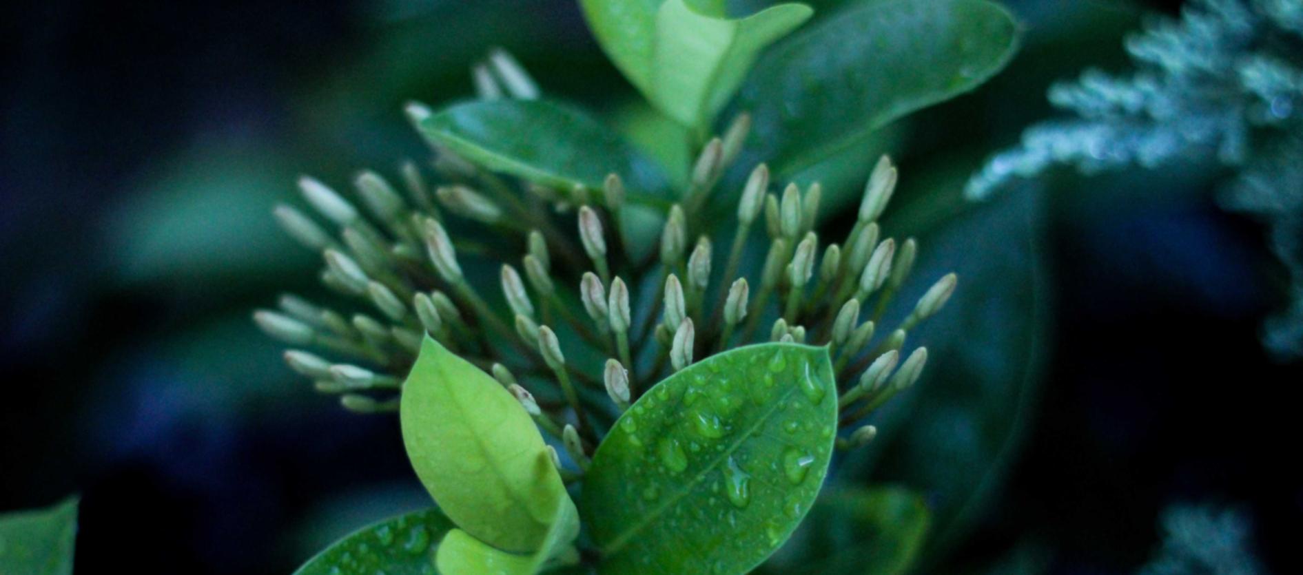 买卖微信号：怎么样执行一个成功的短信营销计划