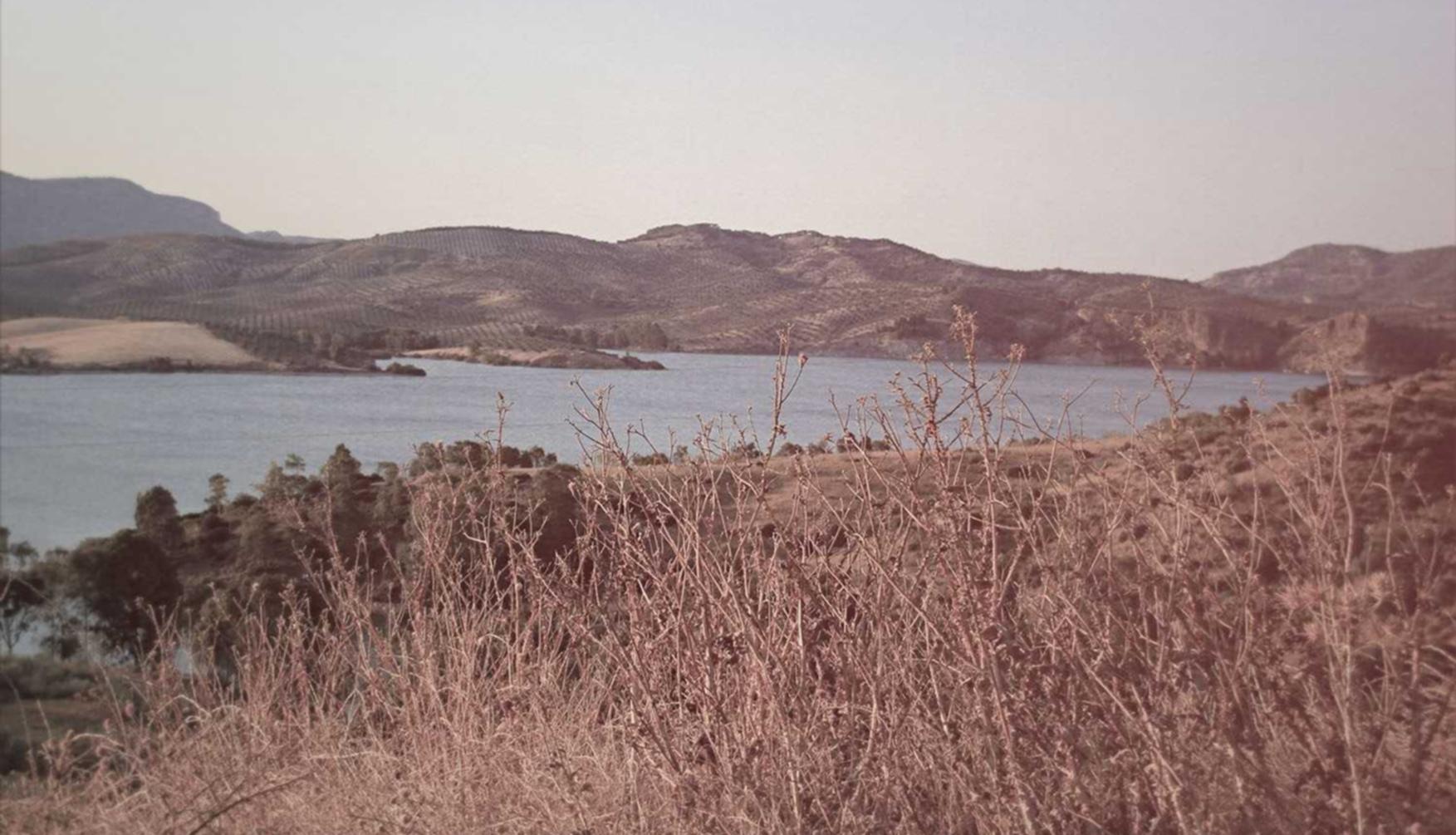 在线DDOS平台攻击|河东注册公司代理电话