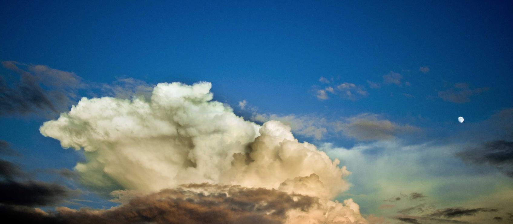 金皇朝4充分利用员工来提高营销效果