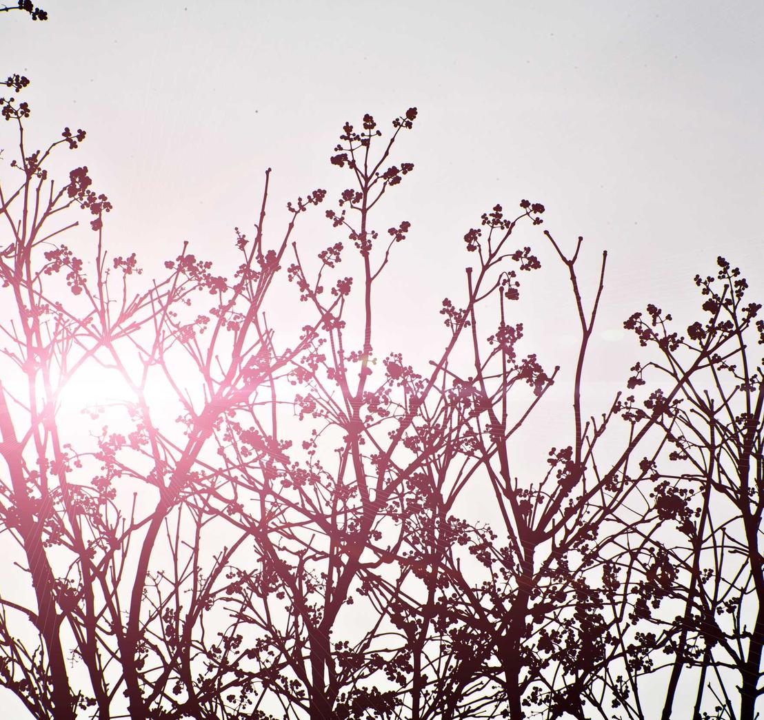 芝麻开门实名账号：邮箱注册两个账号可以吗