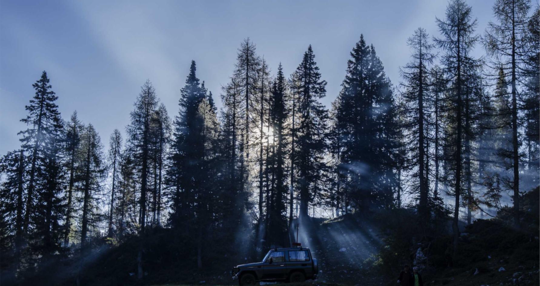 游戏代理平台骗局