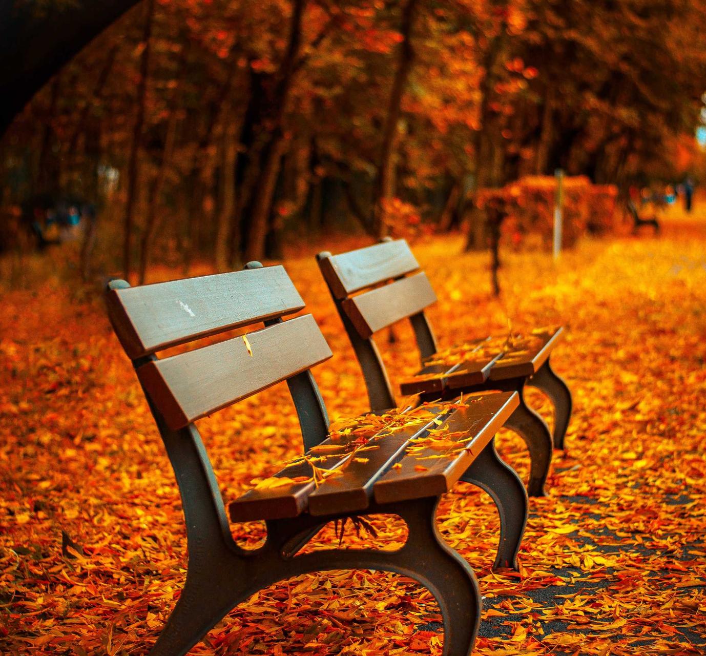 DDOS attack|苏州亚马逊货运代理平台