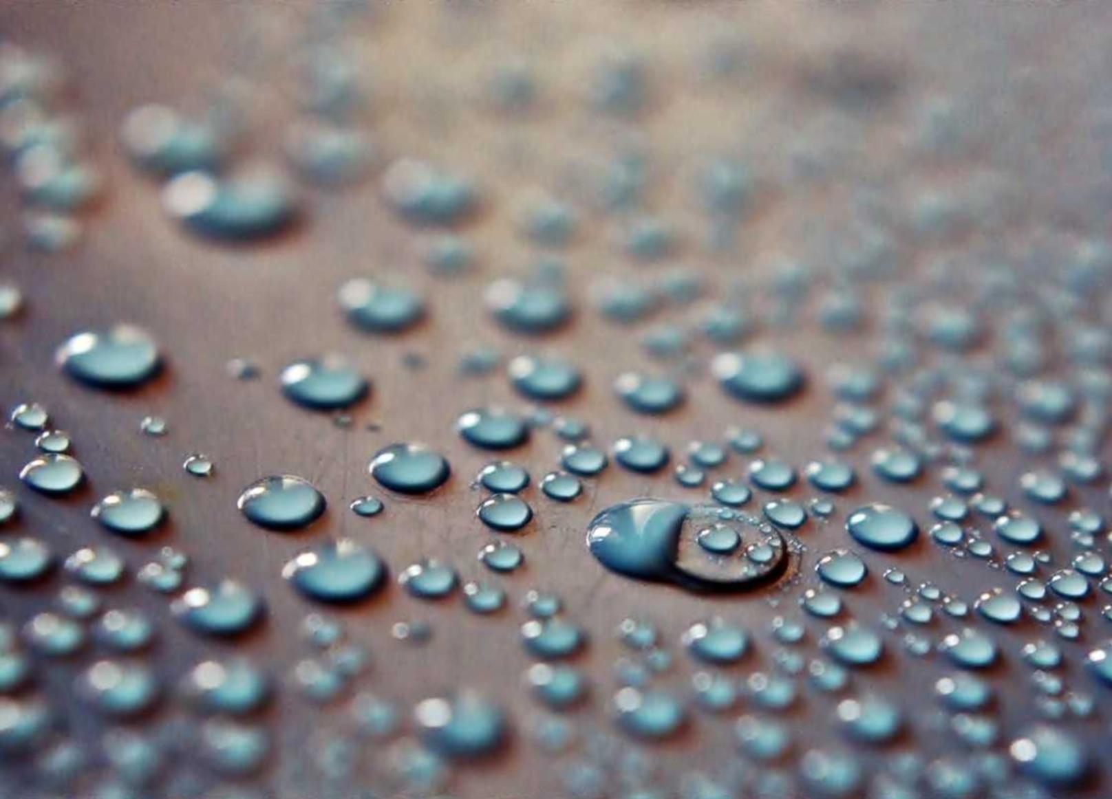 小小军团2：商标商号注册代理