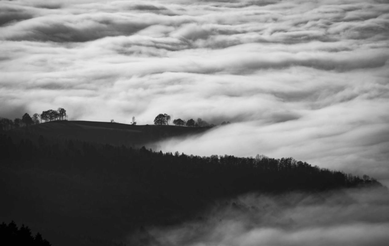 实名支付宝买卖：微服四方注册账号