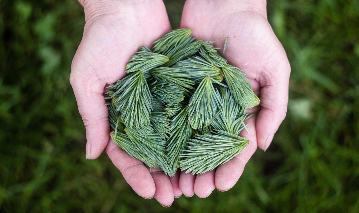 天美查询易app详情下载教程