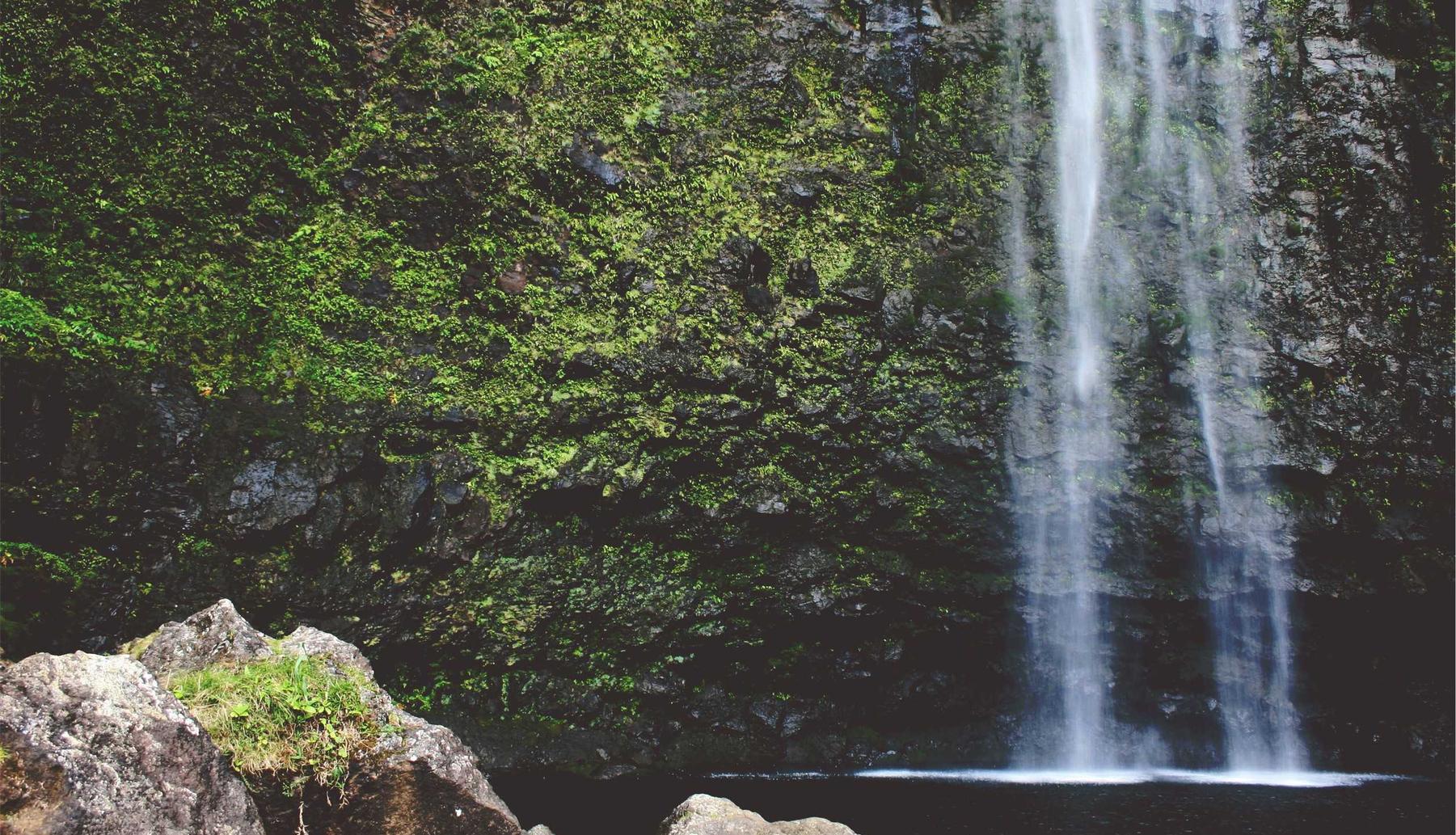 如何检测技术支持并保持游戏的公平性？