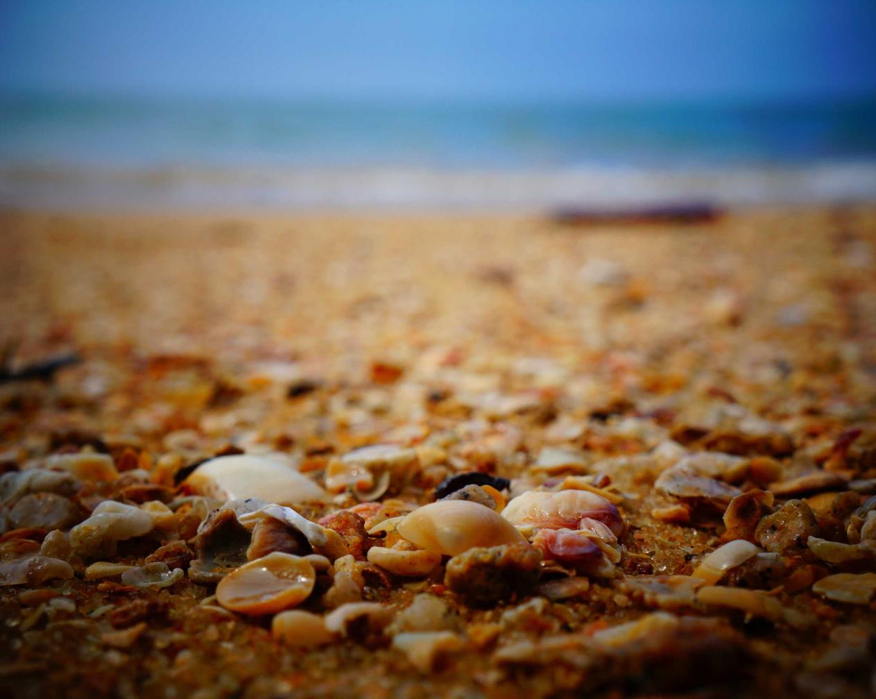 TRAHA全球版：注册账号名称怎么弄空格