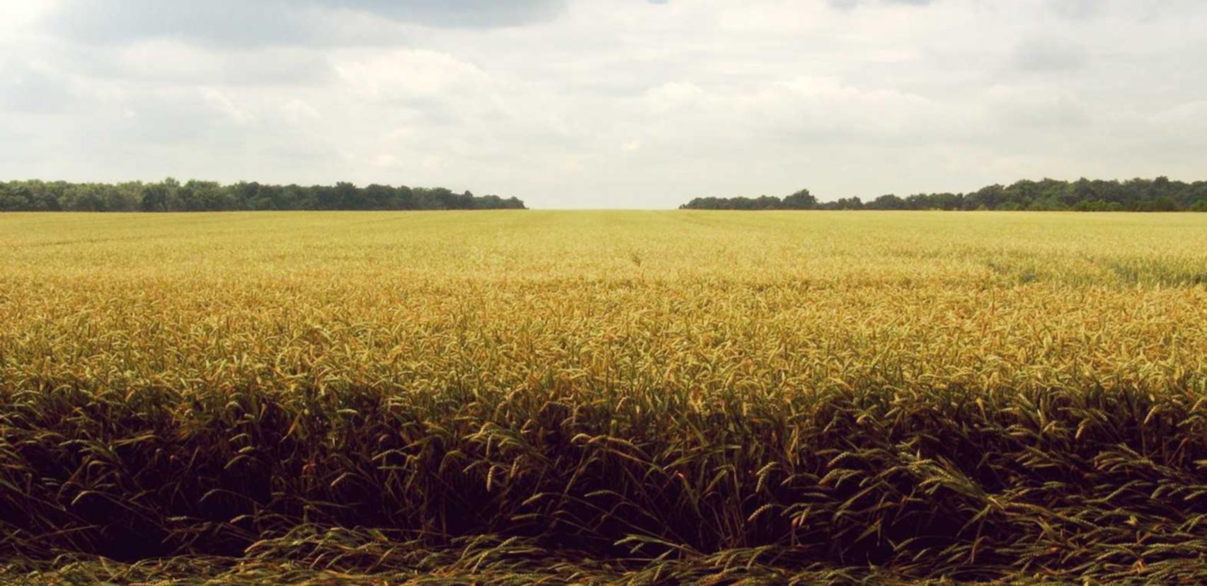银盛通信实名账号：淮安市图书馆注册读者账号