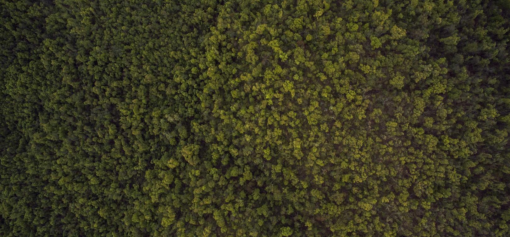 亿彩2尼日利亚注册品牌代理