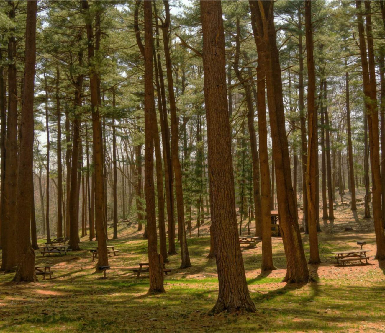 如何进行原始研究以提高SEO排名