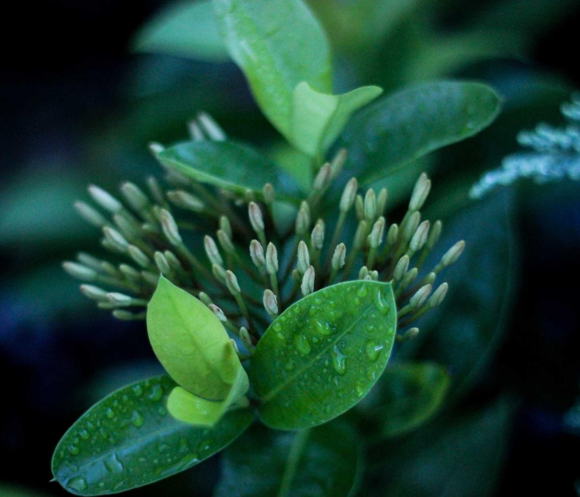 电影详情下载教程app软件