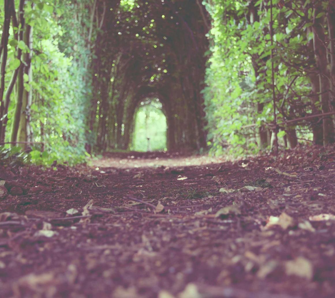 技术支持辅助是否会成为游戏的助力者和想象媒介？