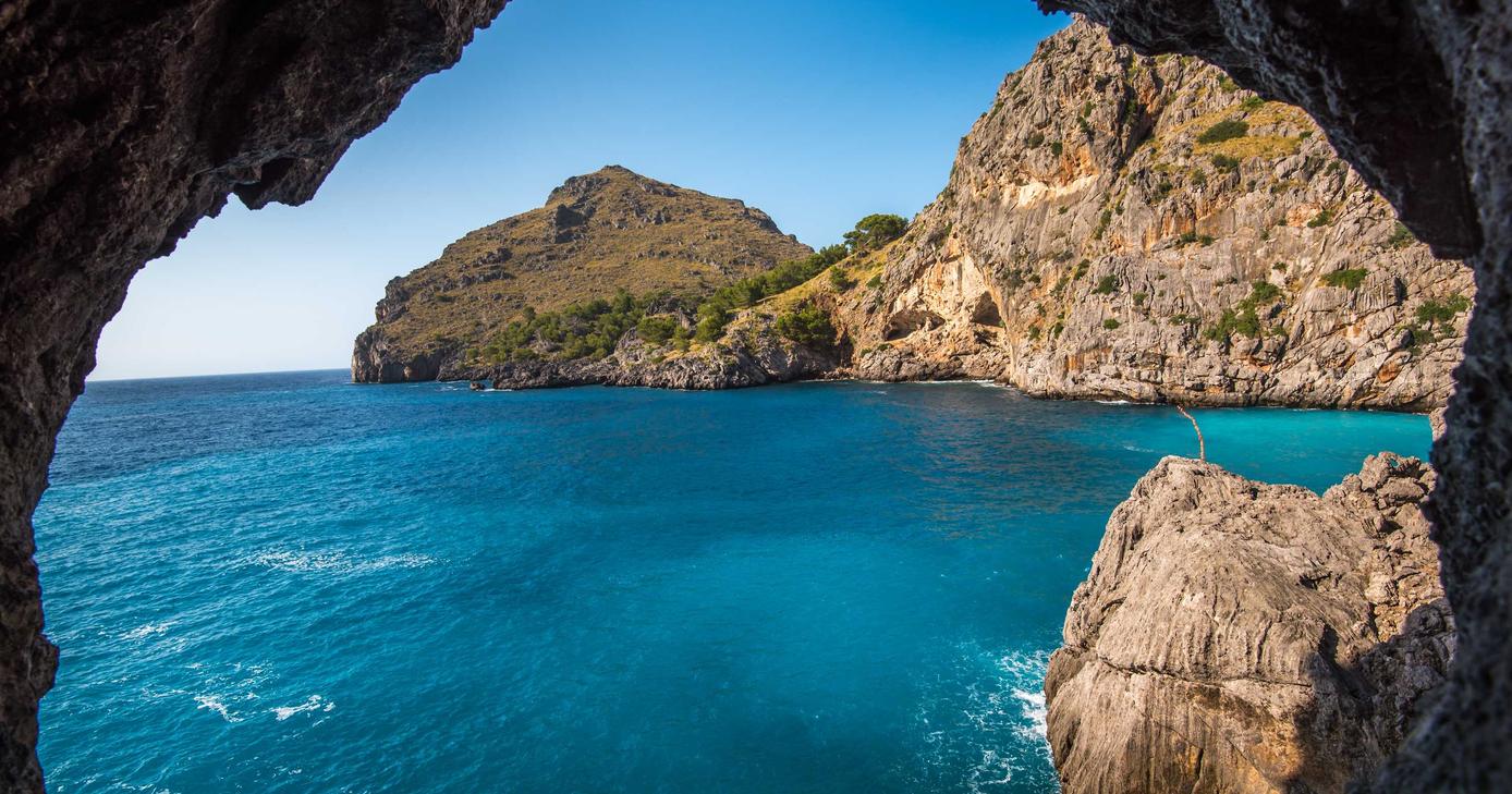 鹤壁正规商标转让购买平台