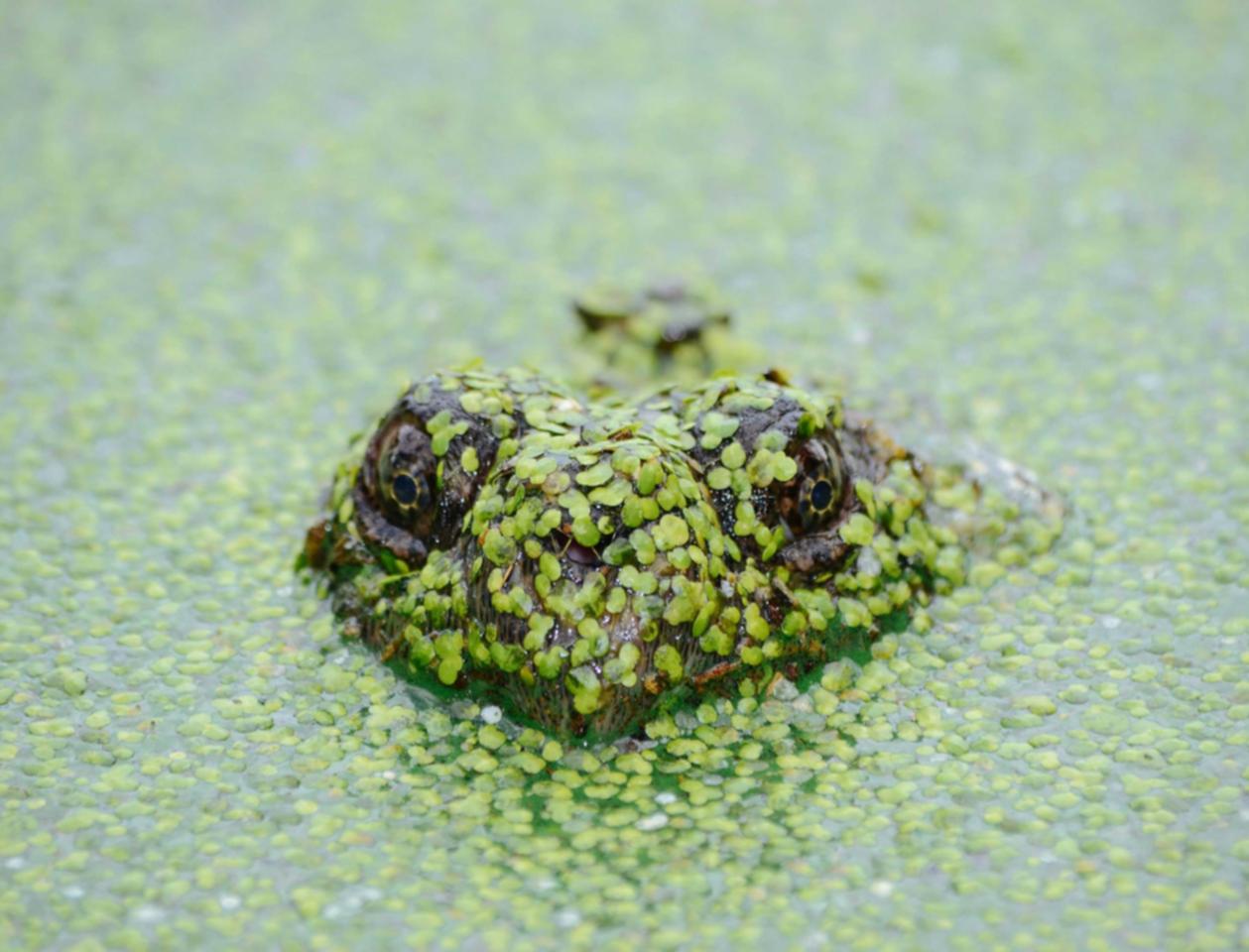 网信移动实名账号:怎么详情下载教程伊利APP