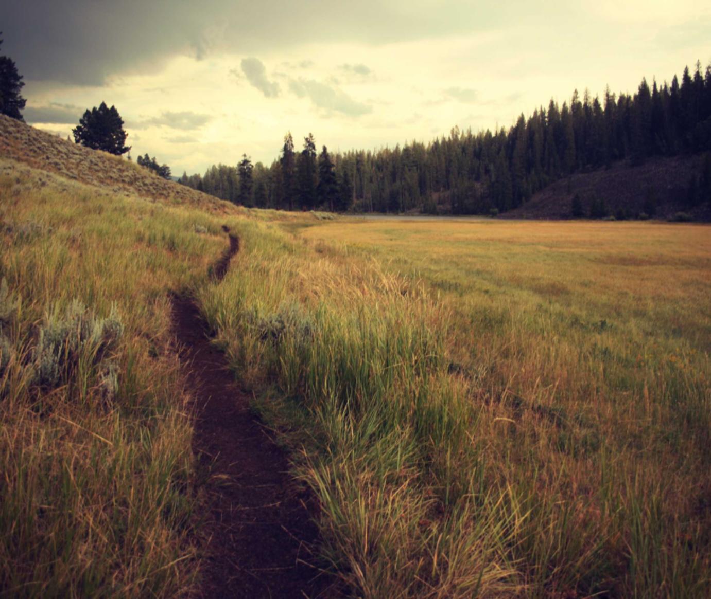 无需实名上网卡:蓝牙音箱app详情下载教程