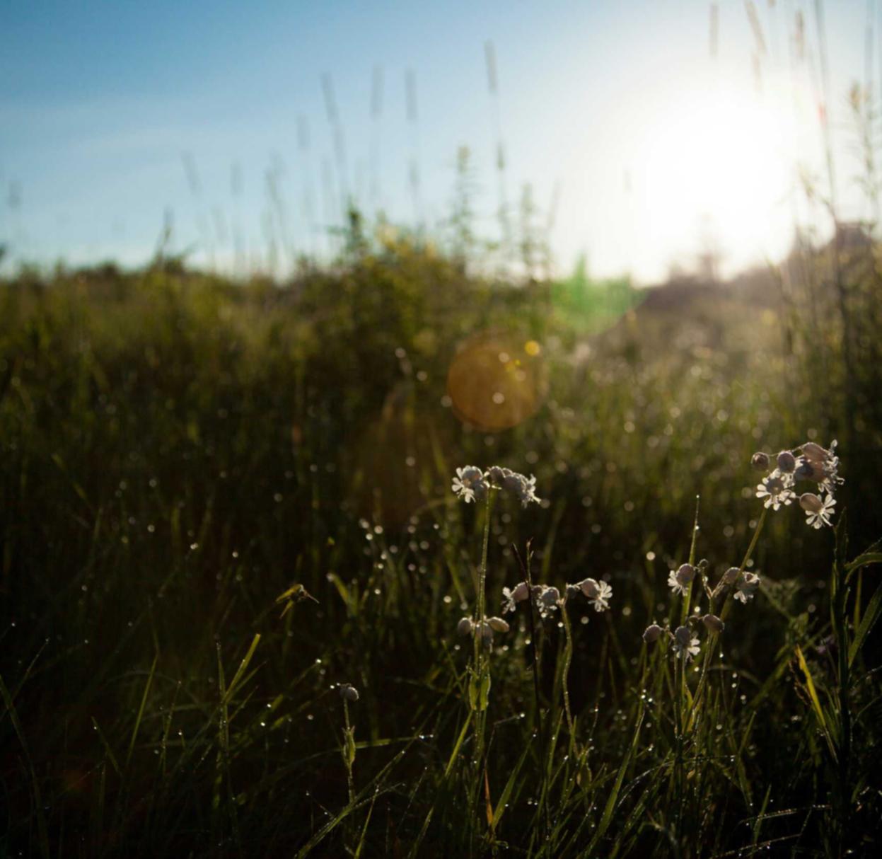 如何在社交媒体上使用SEO进行在线推广