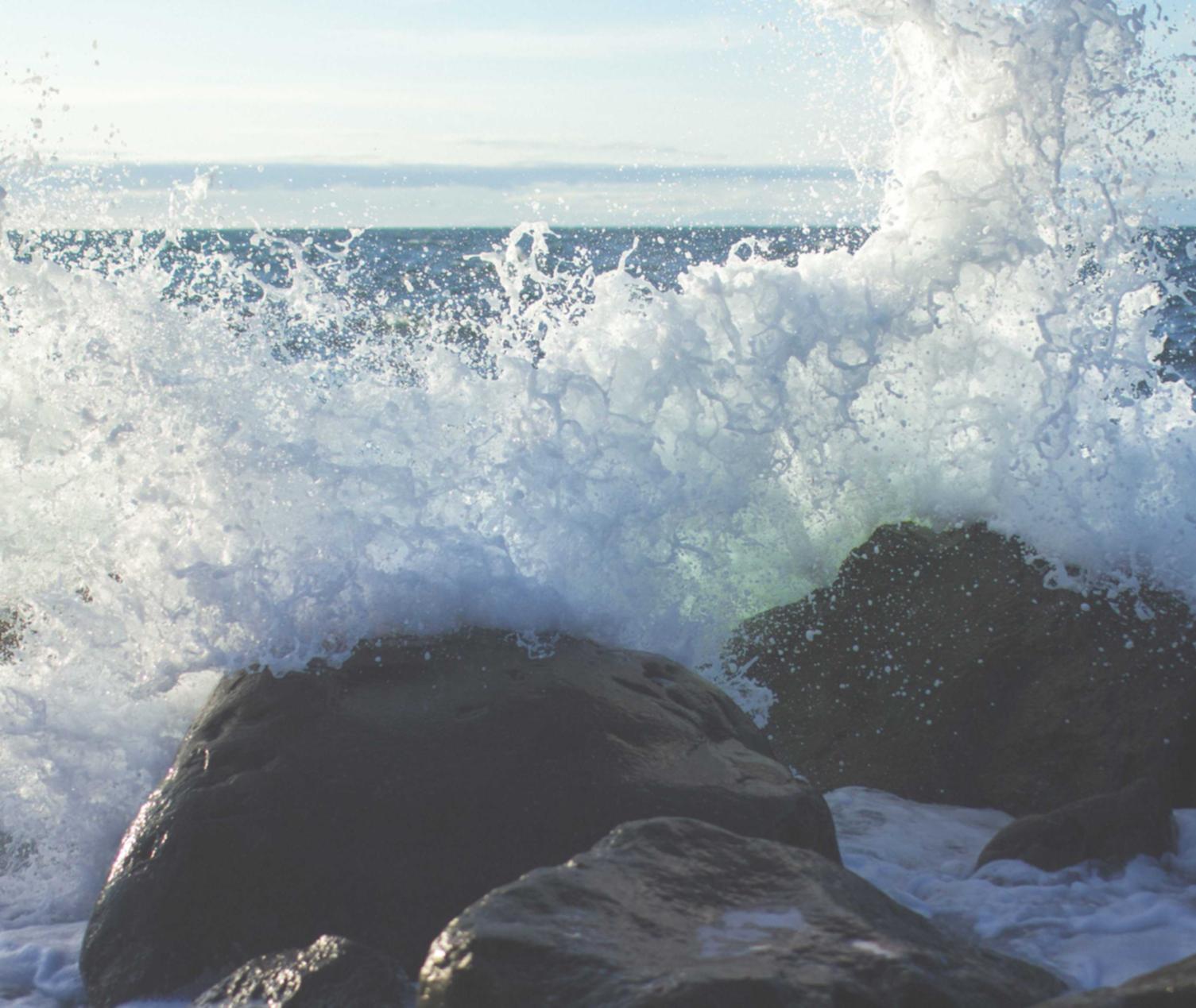 合肥社区团购买菜平台