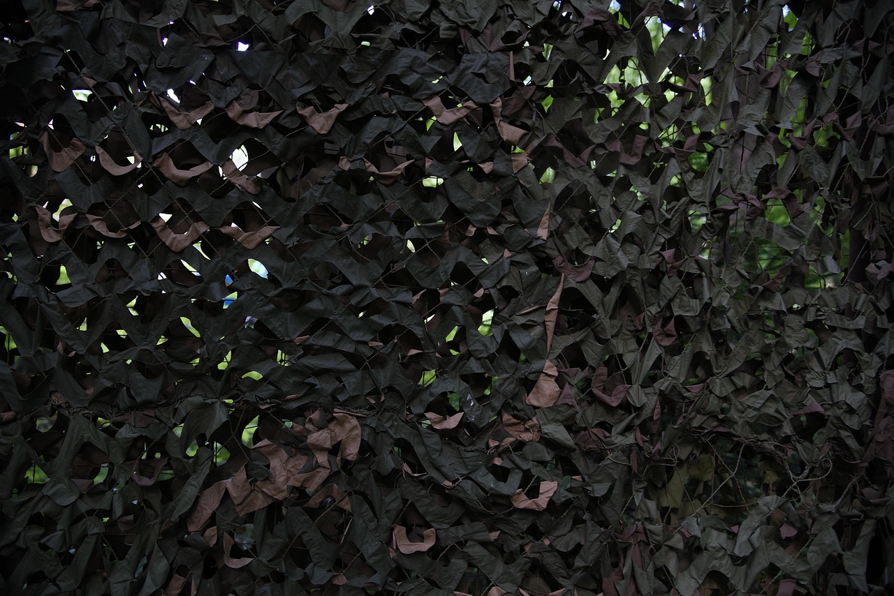 百纵科技实名账号:现货购买平台