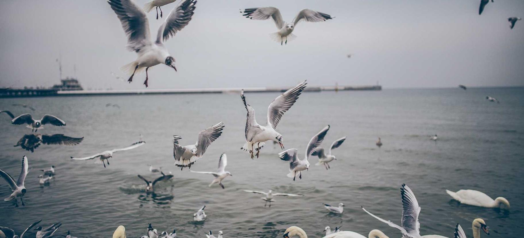 魔方云实名账号:抖音商标注册代理电话多少