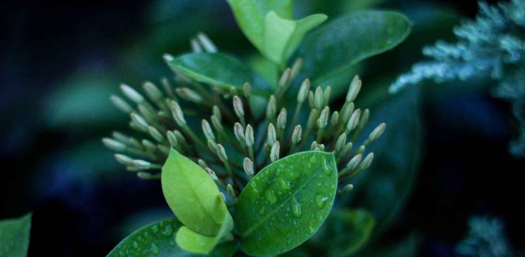 玩家在使用技术支持的时候,需要注意的几大要素!