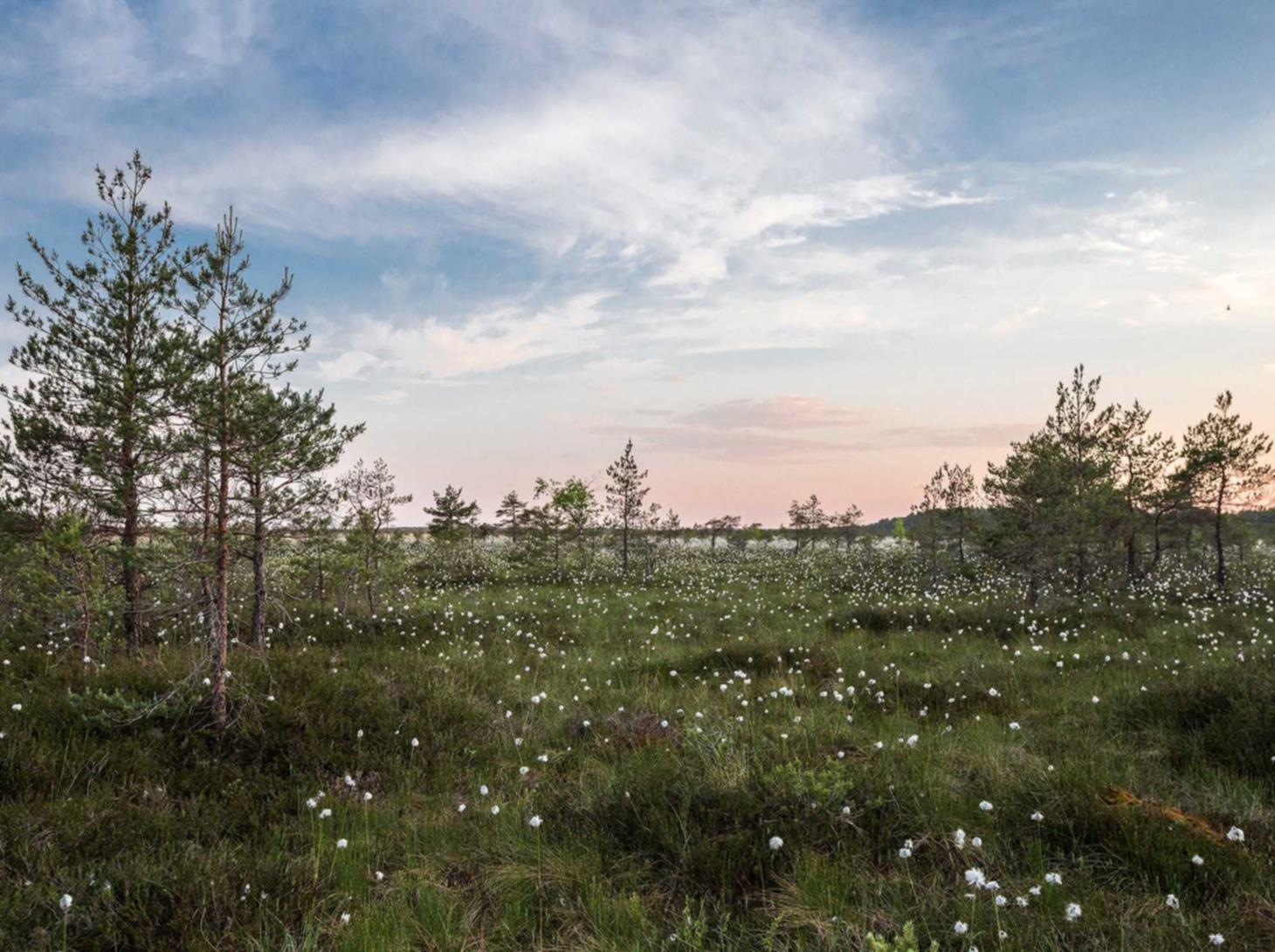 技术支持软件是否被用于新游戏和复古游戏之间的转化？