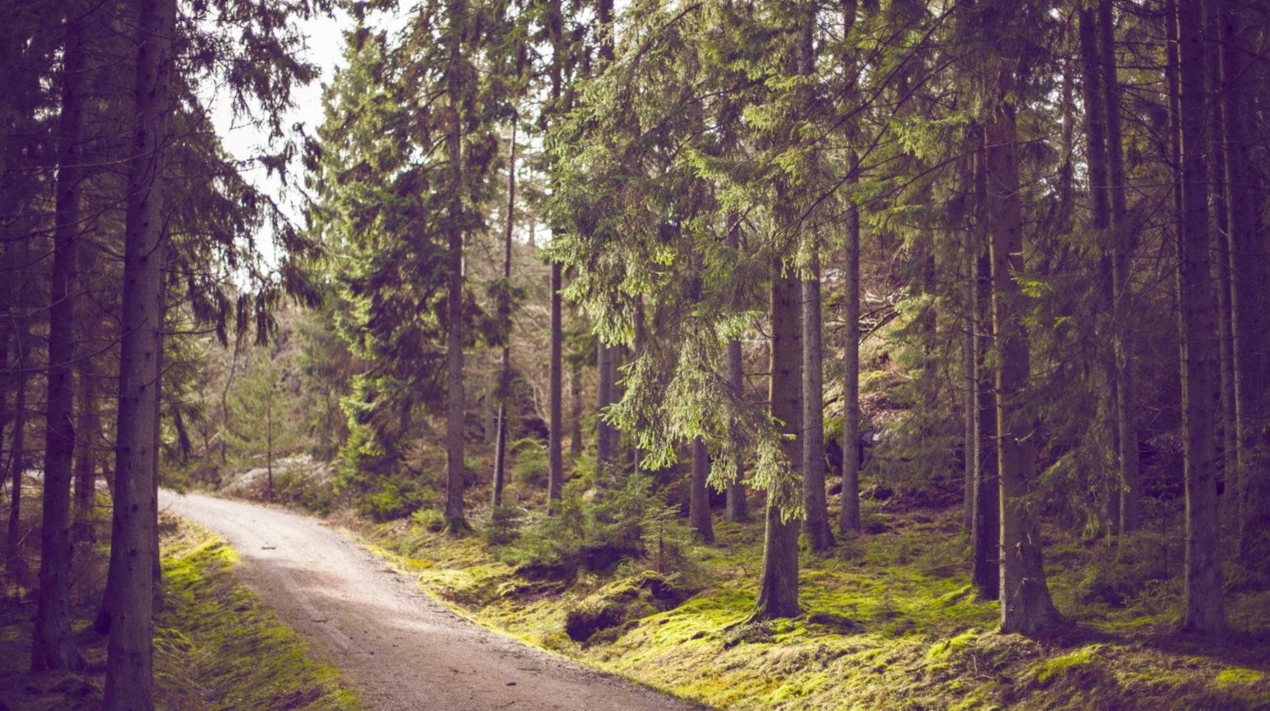 解读DDOS攻击实验结果- 龙虎平台代理加盟