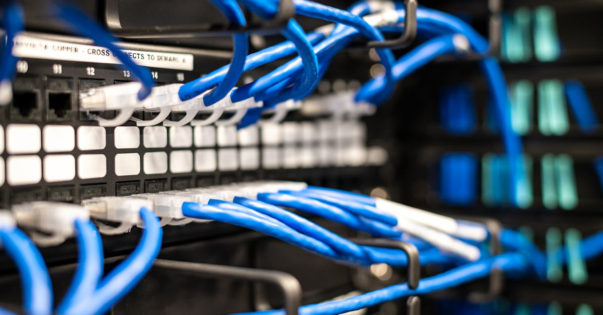 网页DDOS攻击平台|浙江海洋货运代理平台官网