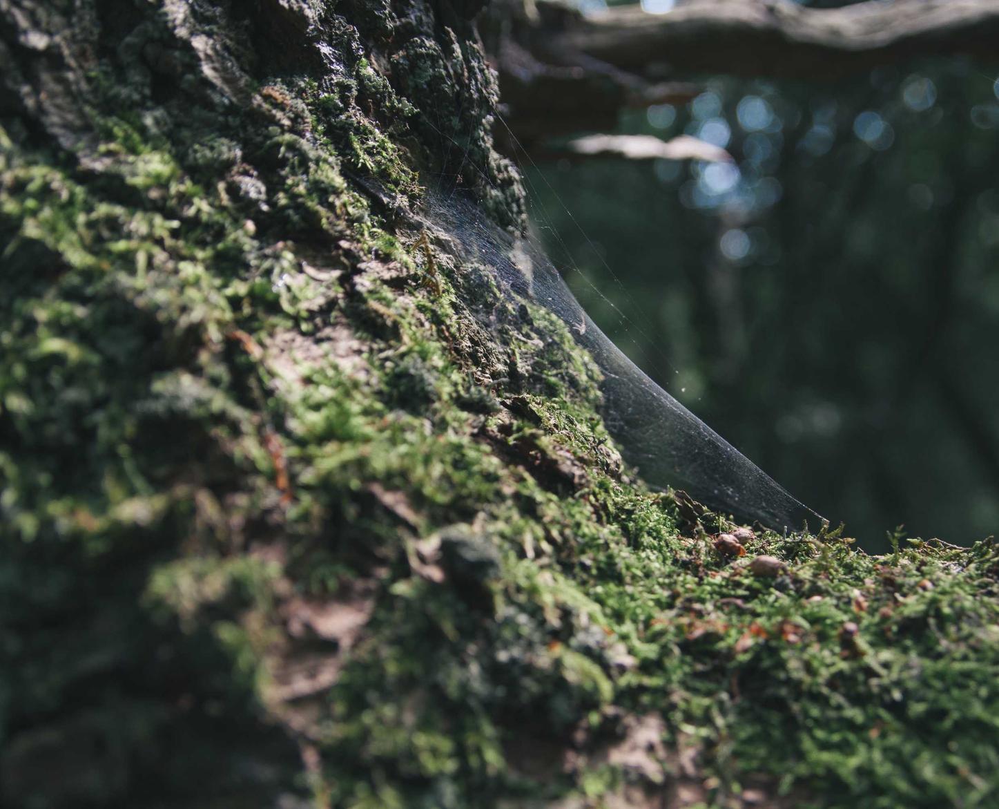 友宝便利店app详情下载教程