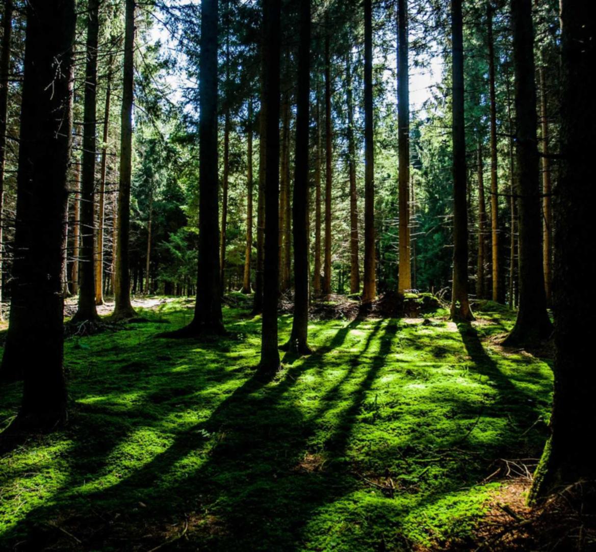 抽烟和呼吸停止的关系