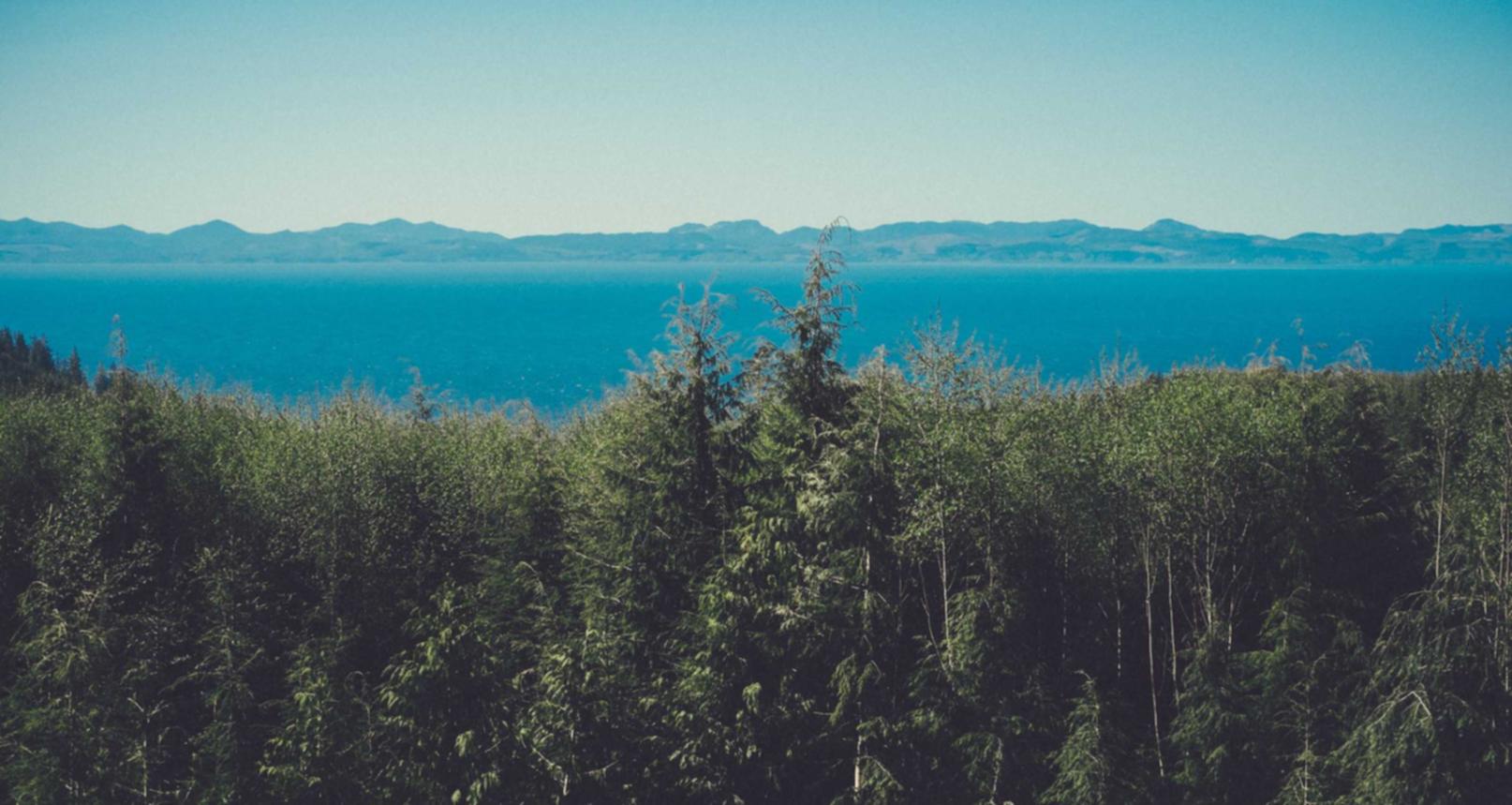 全新微信买卖：yipin.app详情下载教程