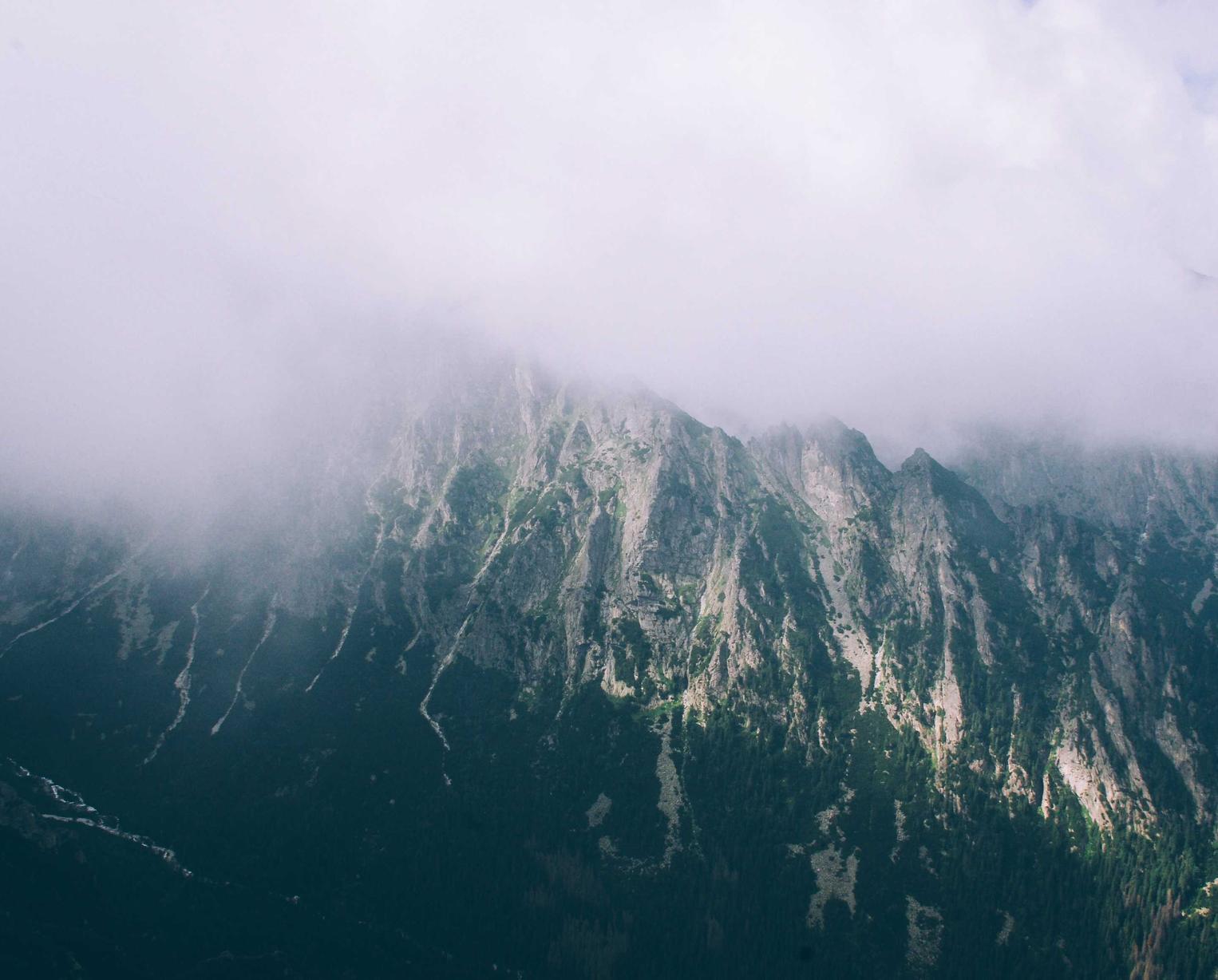 人脸实名账号：实名制账号是否能够降低电子商务领域中的欺诈行为？