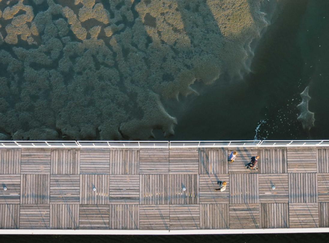 天翼云实名账号：河北内墙装饰材料购买平台