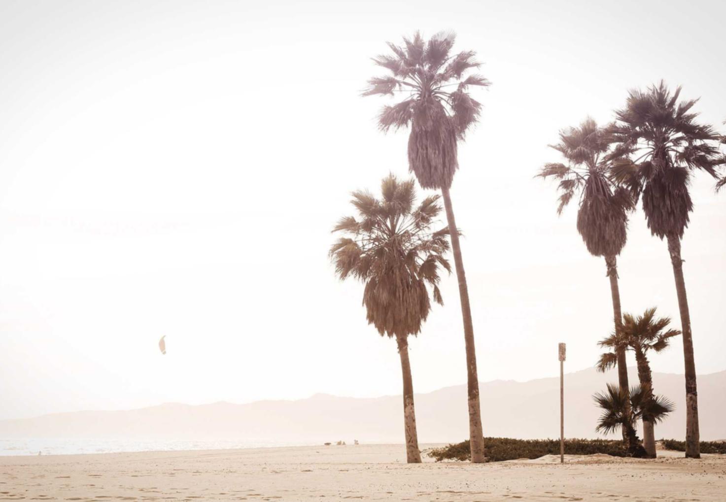 萤火突击辅助- 黑黑连app详情下载教程