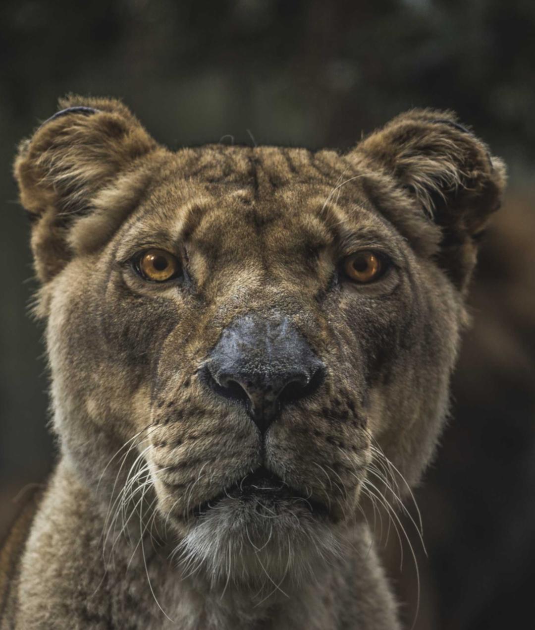 德州互联网商标注册代理