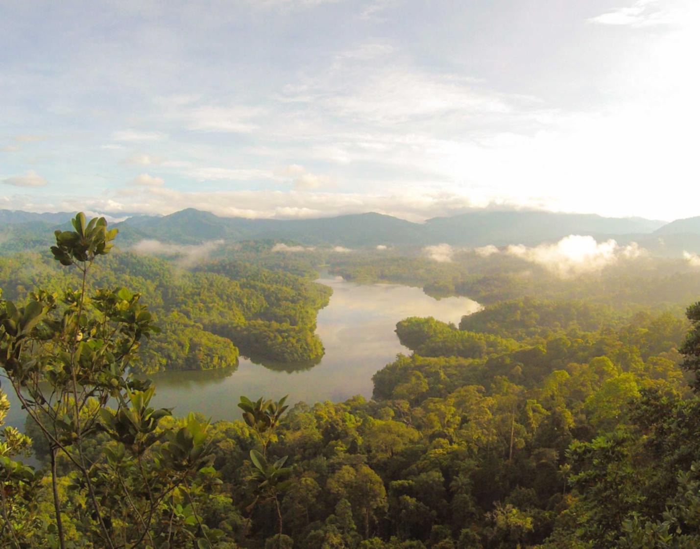 益阳代理注册公司