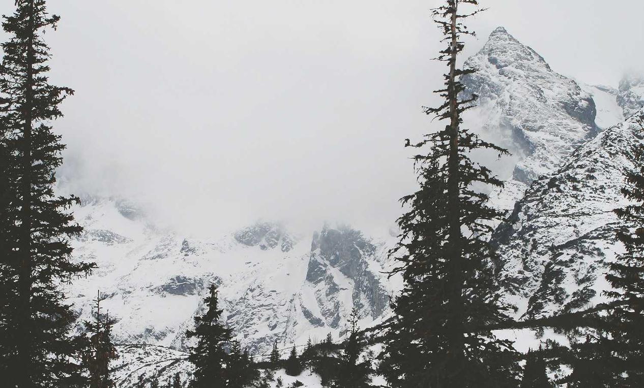 火网实名账号：梅河口代理招聘网平台