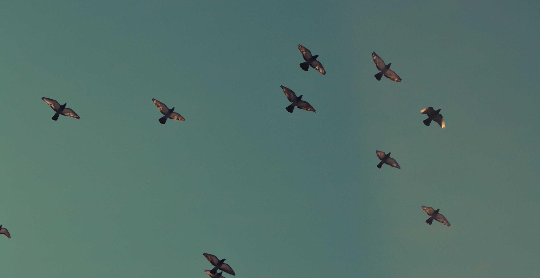 DDOS压力测试|羚萌平台代理