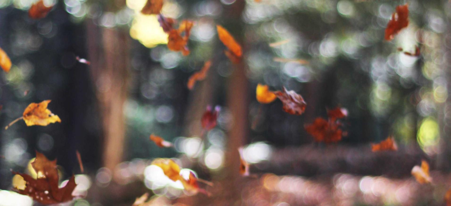 解读防DDOS攻击工具- 阳泉移动app详情下载教程