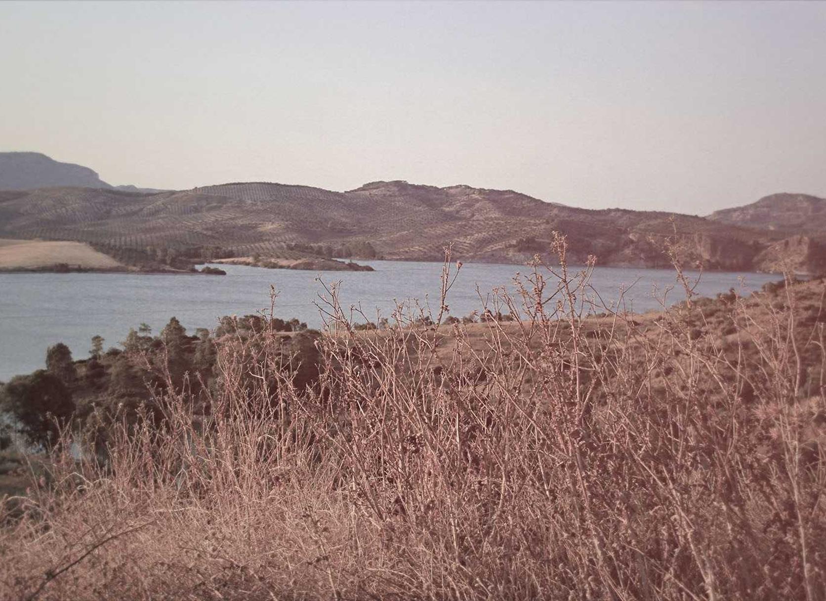 亿速云实名账号：公众号注册服务账号是什么