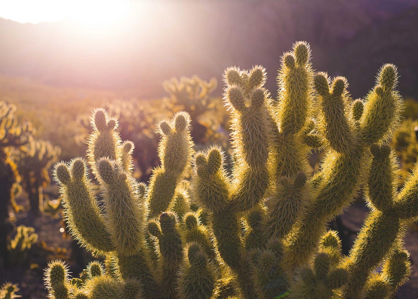 战双帕弥什辅助- 黄浦代理公司注册电话