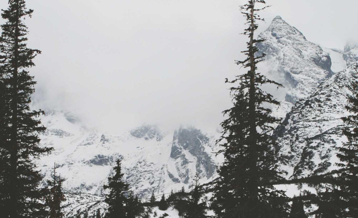 阿里云实名账号:流量卡上网出现“接入点验证错误”怎么办?分享解决方法。