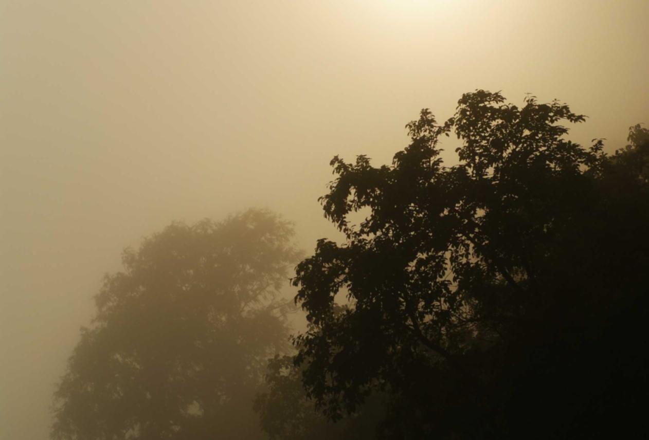 珠海斗门公司注册代理