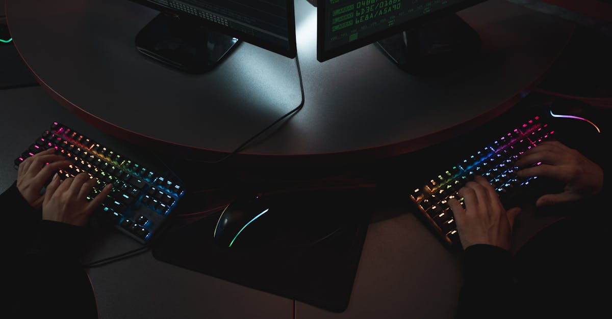 九州ip实名账号：苹果树苗木购买平台