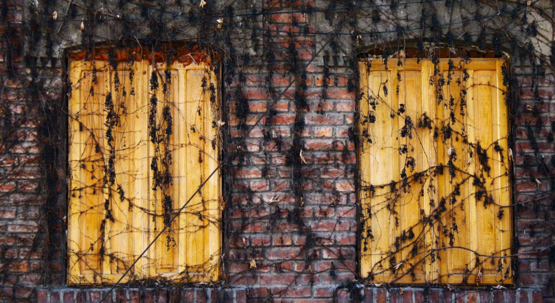 九州ip实名账号：语c圈app详情下载教程